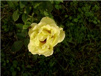 fb50032d-Picture 066.jpg